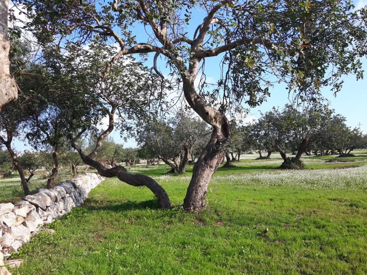 Villa Scicli Citta Felice Esterno foto
